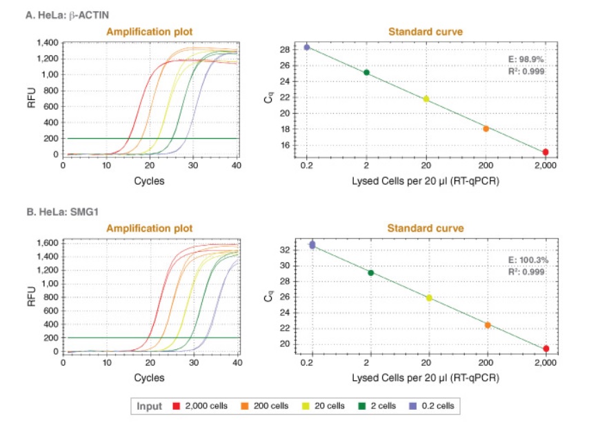 NEB代理 , DNA聚合酶与扩增技术 , qPCR & RT,qPCR