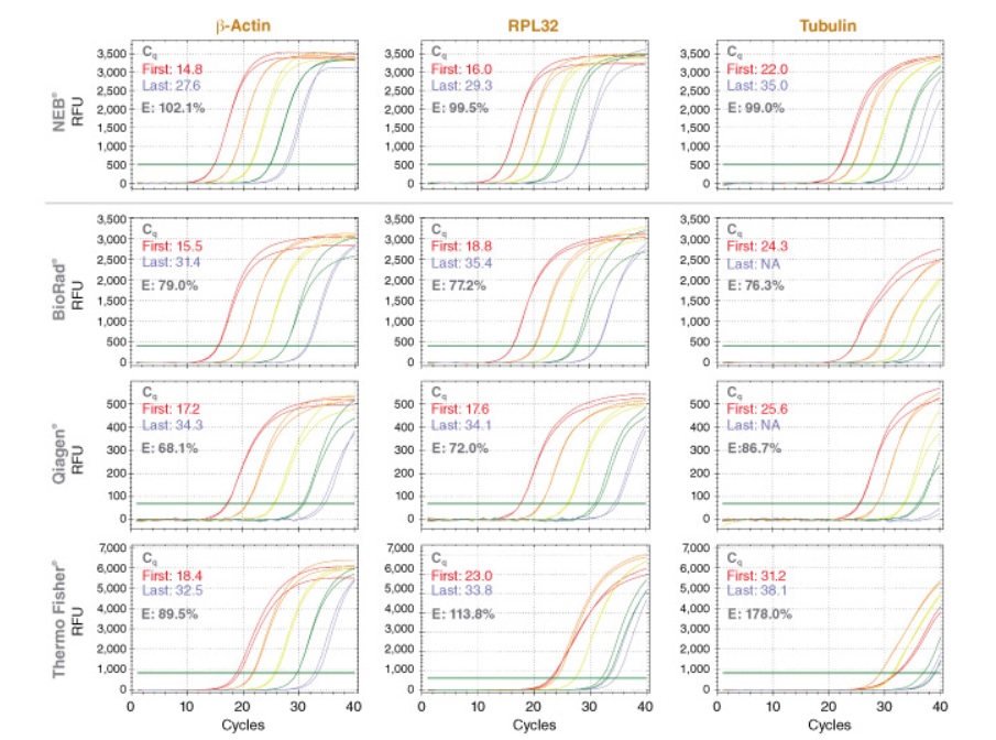 NEB代理 , DNA聚合酶与扩增技术 , qPCR & RT,qPCR