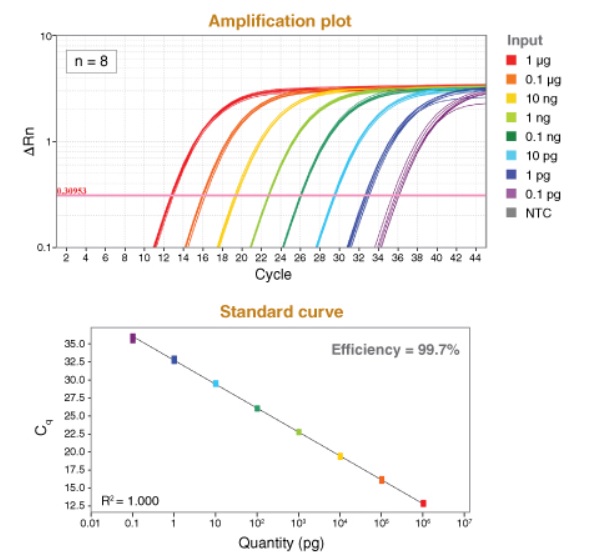 NEB代理 , DNA聚合酶与扩增技术 , qPCR & RT,qPCR