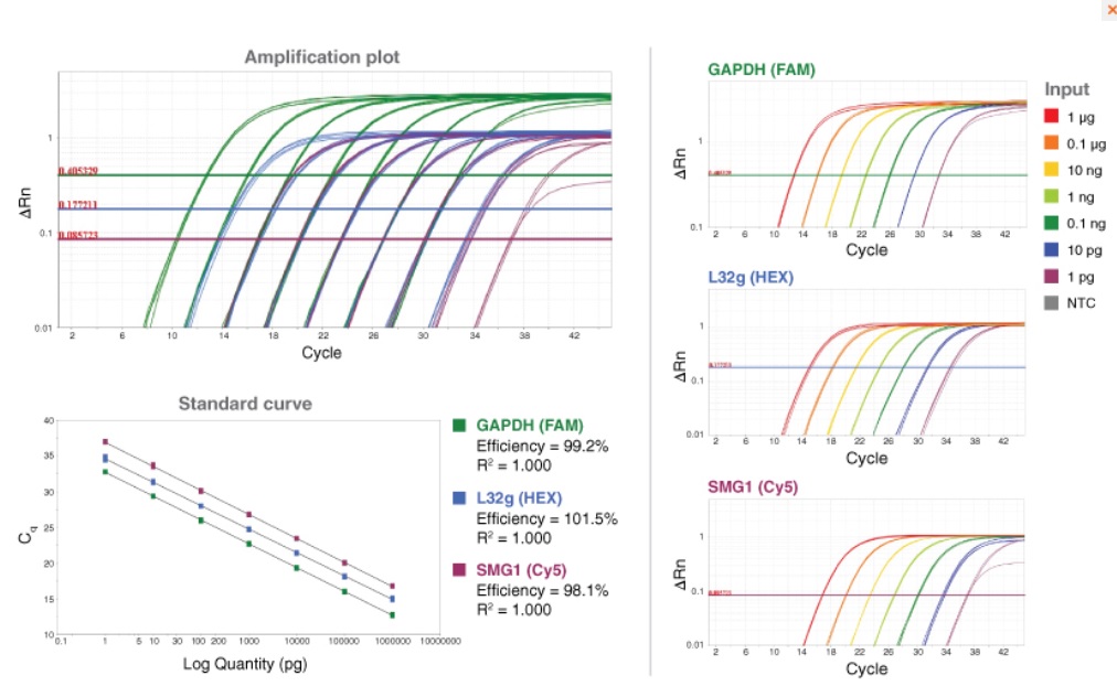 NEB代理 , DNA聚合酶与扩增技术 , qPCR & RT,qPCR