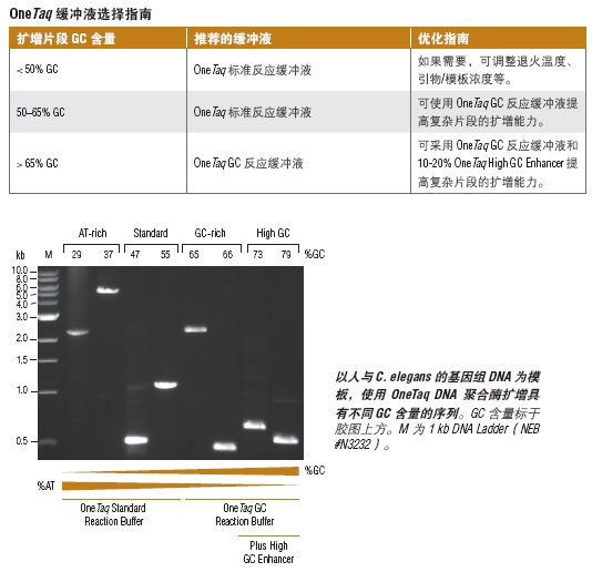 NEB代理 , DNA聚合酶与扩增技术 , 常规 PCR