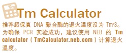 NEB代理 , DNA聚合酶与扩增技术 , 高保真PCR