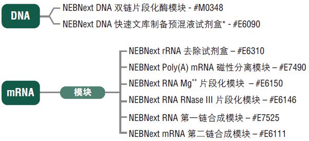 NEB代理 , 用于二代测序的 NEBNext® 试剂 , 适用于Ion Torrent或454测序平台