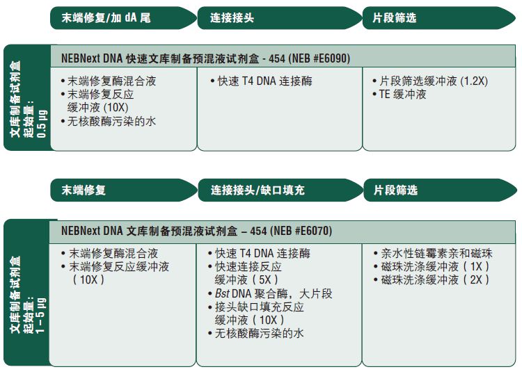 NEB代理 , 用于二代测序的 NEBNext® 试剂 , 适用于Ion Torrent或454测序平台