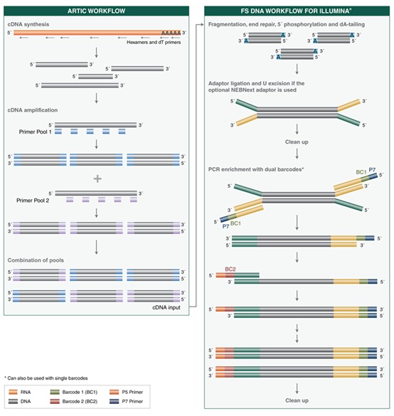 NEB代理 , 用于二代测序的 NEBNext® 试剂 , 适用于 Illumina 测序平台/Ultra II DNA & RNA