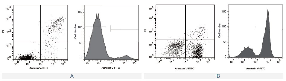 Annexin V-FITC/PI Apoptosis Detection Kit