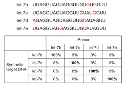 miRNA Universal SYBR qPCR Master Mix