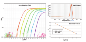 AceQ qPCR SYBR Green Master Mix (Without ROX)