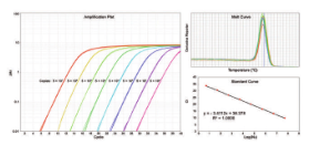 ChamQ SYBR qPCR Master Mix