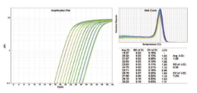 ChamQ SYBR qPCR Master Mix