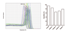 ChamQ SYBR qPCR Master Mix