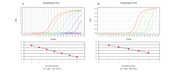 HiScript II Reverse Transcriptase