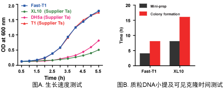 Fast-T1 化学感受态细胞