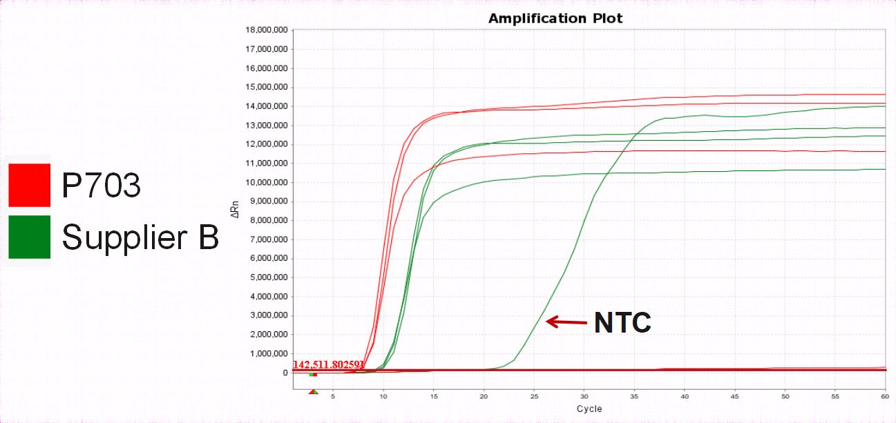 Bst II Pro DNA Polymerase Large Fragment