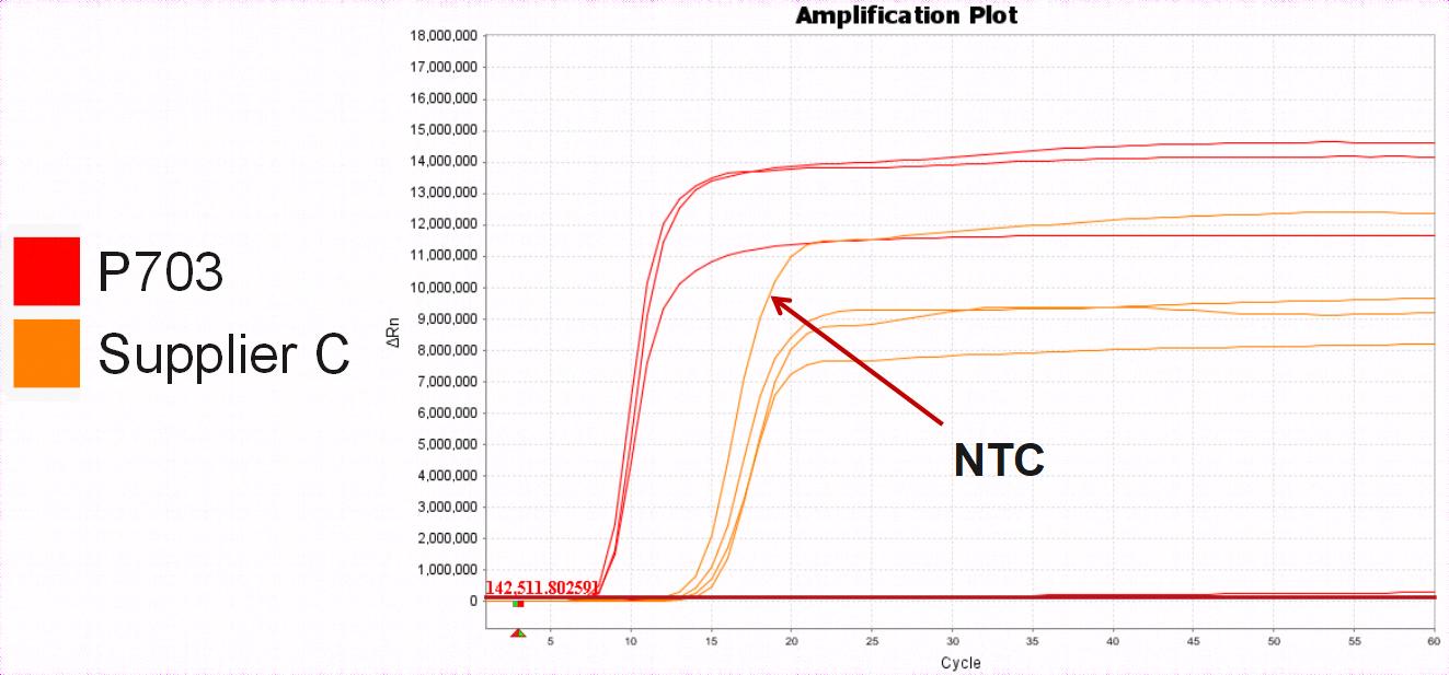 Bst II Pro DNA Polymerase Large Fragment