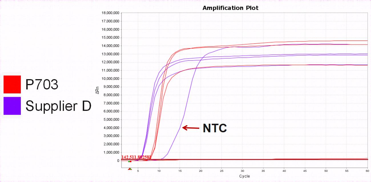 Bst II Pro DNA Polymerase Large Fragment