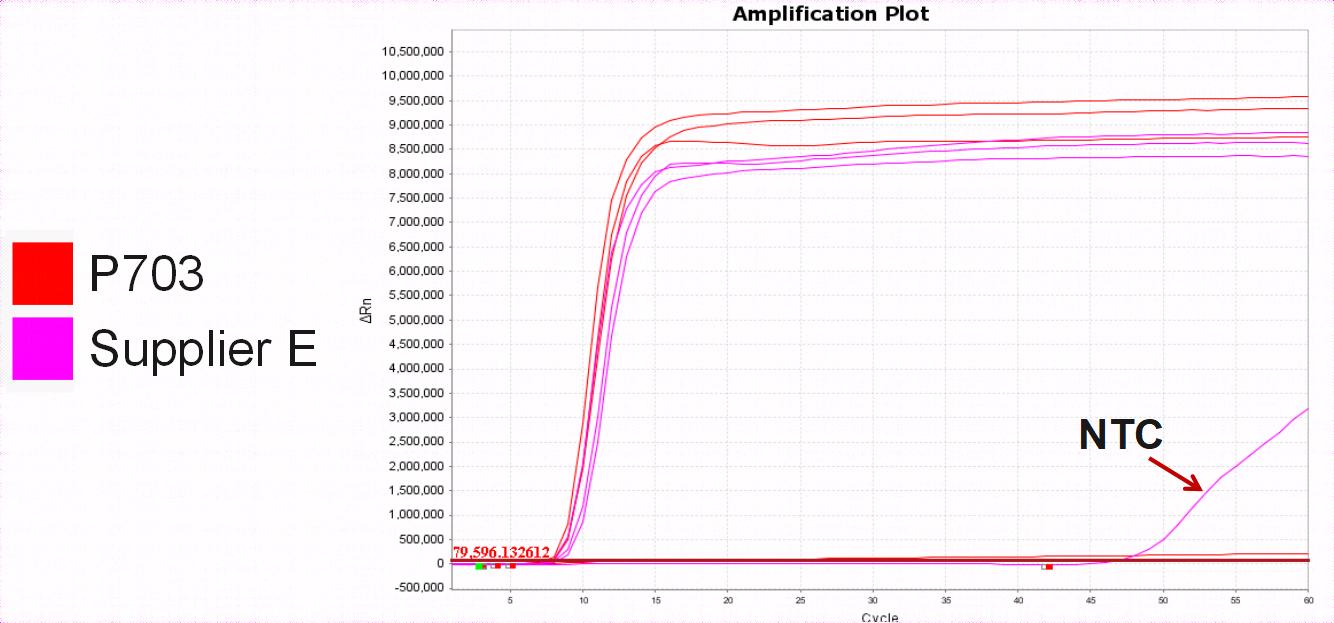 Bst II Pro DNA Polymerase Large Fragment