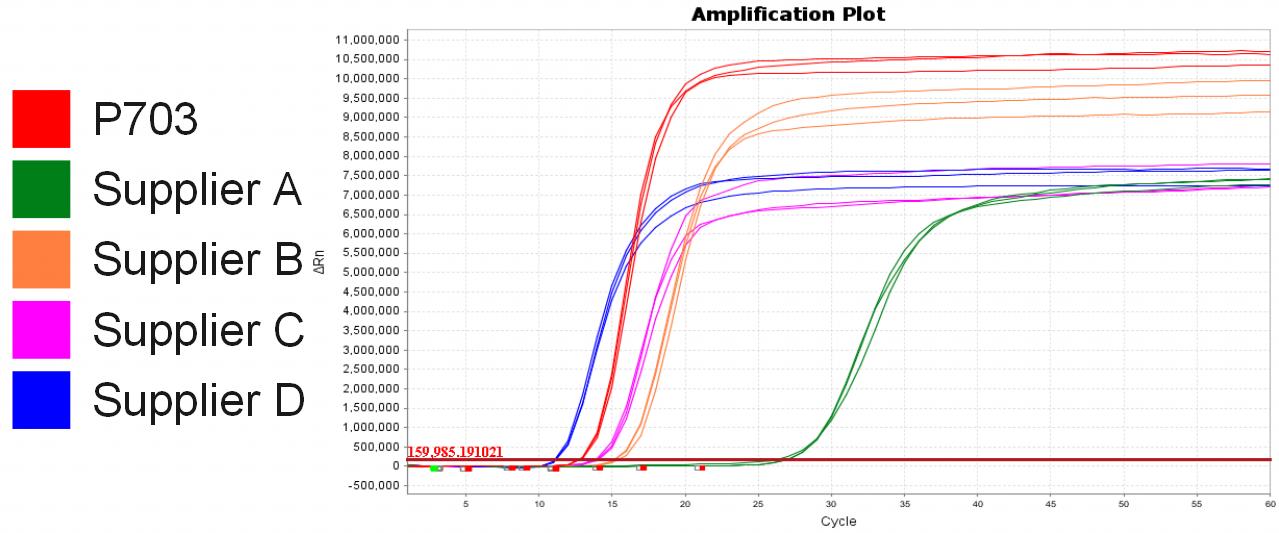 Bst II Pro DNA Polymerase Large Fragment