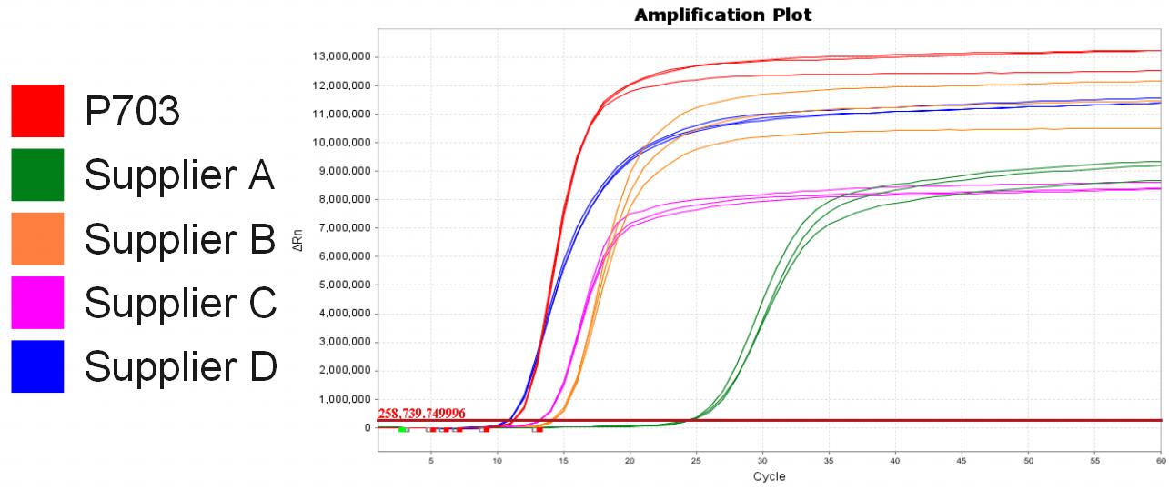 Bst II Pro DNA Polymerase Large Fragment