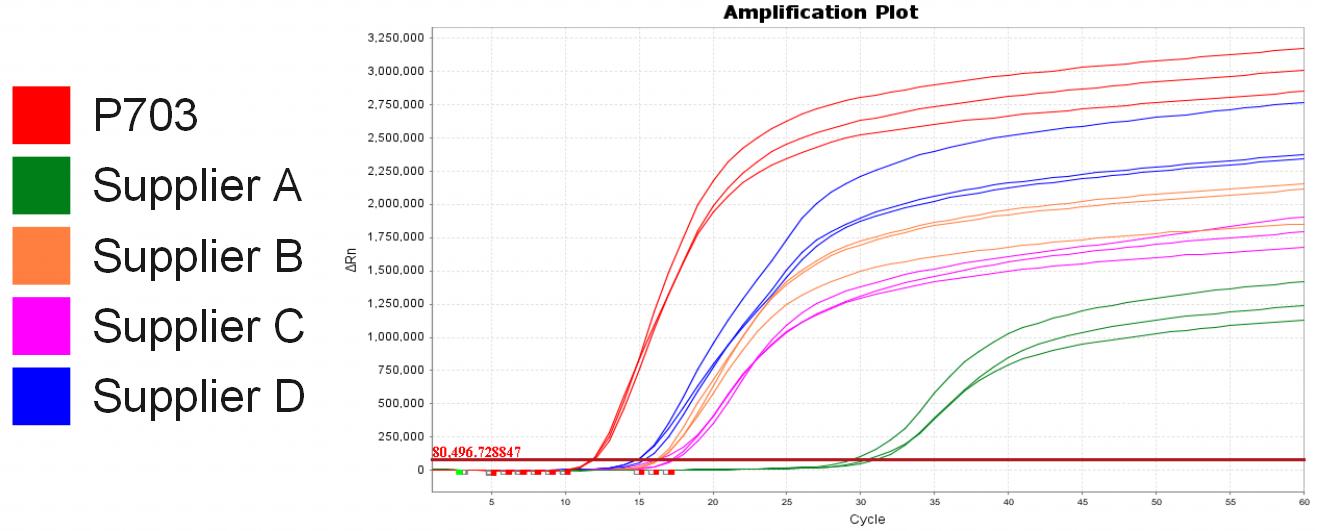 Bst II Pro DNA Polymerase Large Fragment