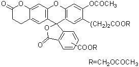 B262-1.gif